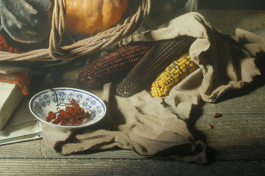 A Bountiful Harvest Rendered in Cinema 4D and Octane - CU Corn