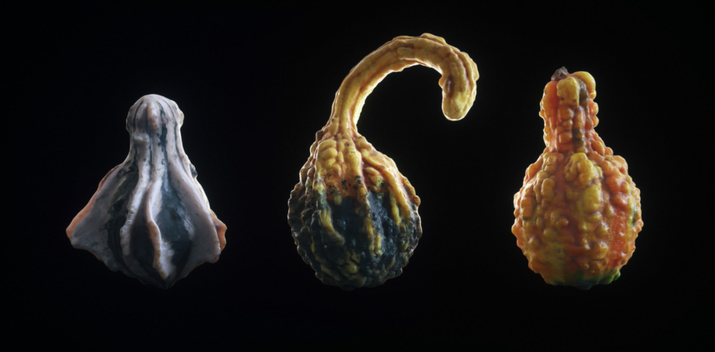 A Bountiful Harvest Rendered in Cinema 4D and Octane - WIP Gourds Lineup