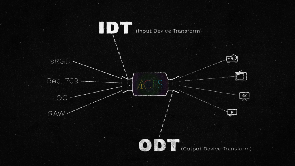 Why Cinema 4D Artists Should Care About ACES Color - IDT ODT