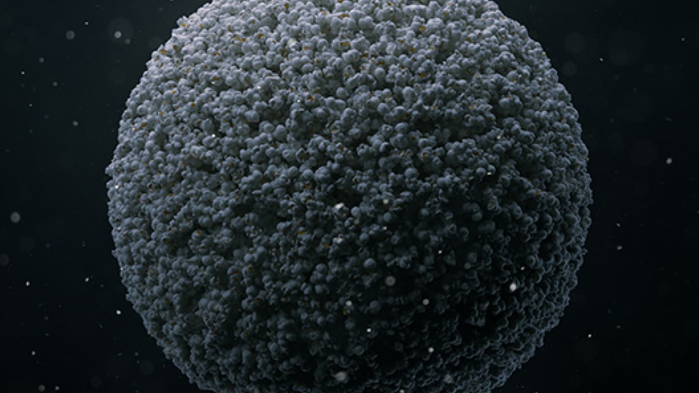 Particles